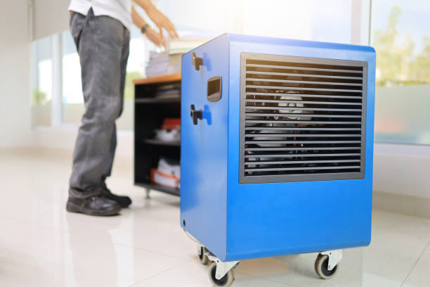 Best Mold Removal for HVAC Installations  in Heidelberg, TX
